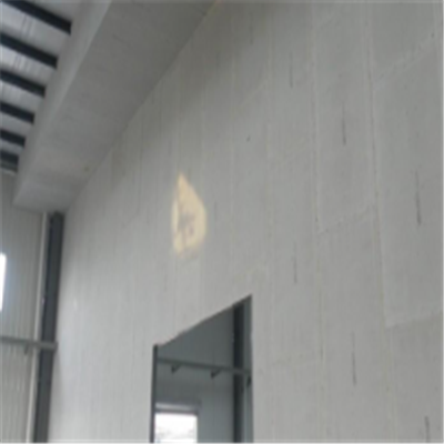 澄城新型建筑材料掺多种工业废渣的ALC|ACC|FPS模块板材轻质隔墙板